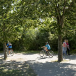 vélo, Fontenay-aux-Roses, municipales, Gilles Mergy, EELV