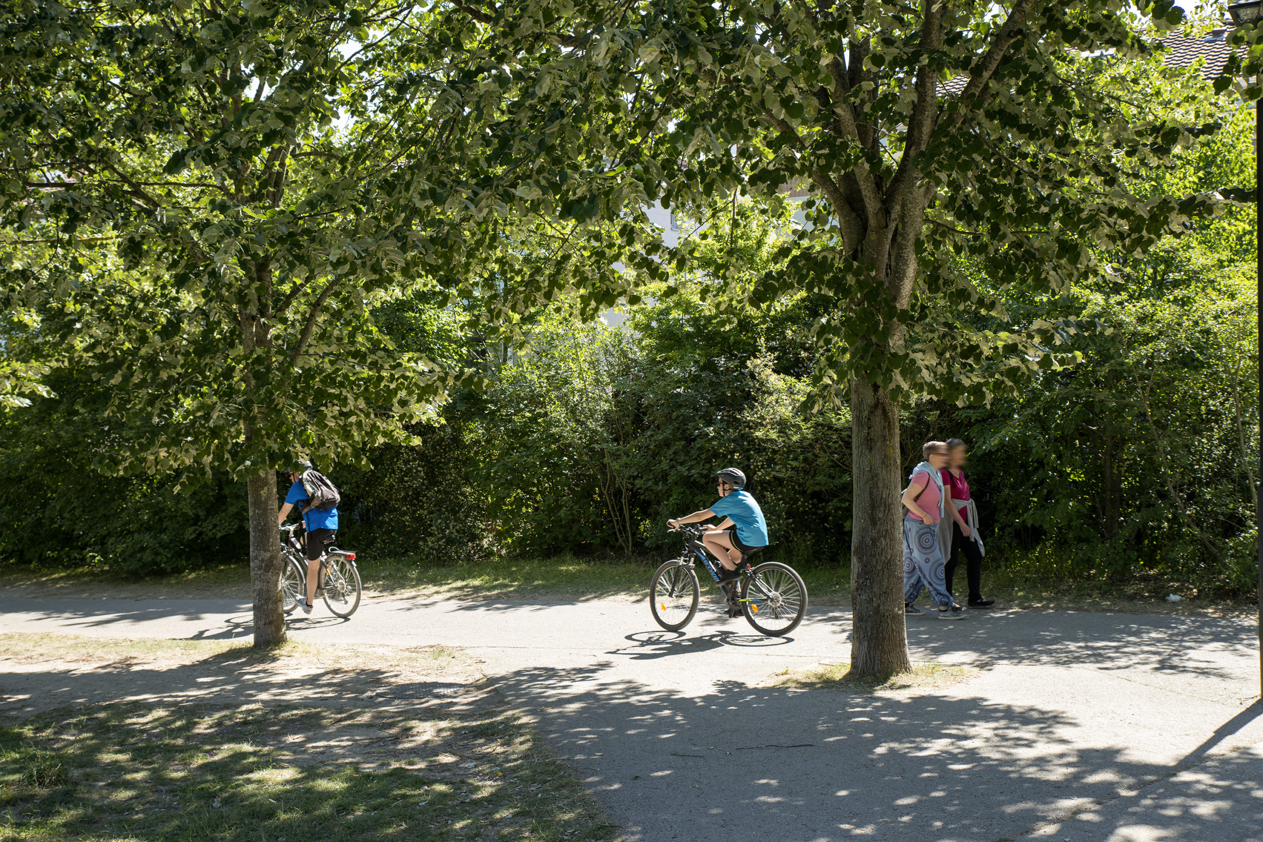 vélo, Fontenay-aux-Roses, municipales, Gilles Mergy, EELV